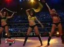 Holky z ringu - VIDEO