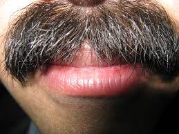 Vyberte si knír - Movember už začal