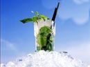 Koktejl: Mojito Recept 5x jinak