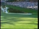 Umění Tigera Woodse - VIDEO