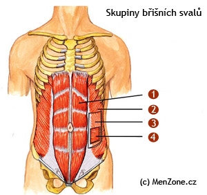 posilování břišních svalů