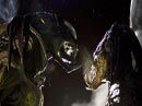 Vetřelec vs. Predátor 2 (Aliens vs. Predator: Requiem) + Trailer