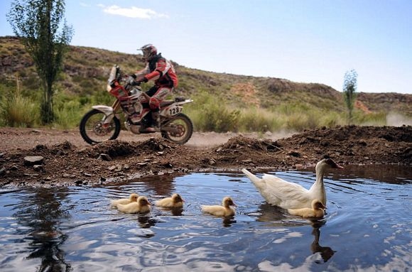 Rally Dakar 2009 v obrazech